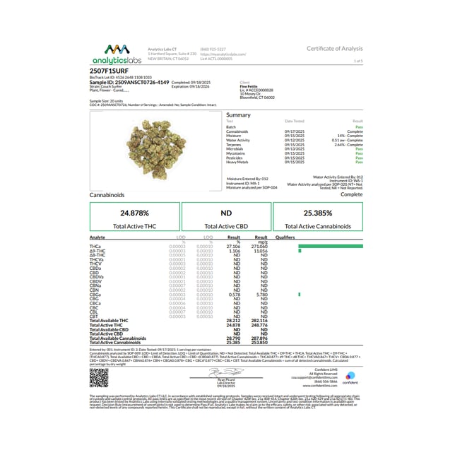 Comffy - Couch Surfer (I) Flower  C0140000052 - Image 3