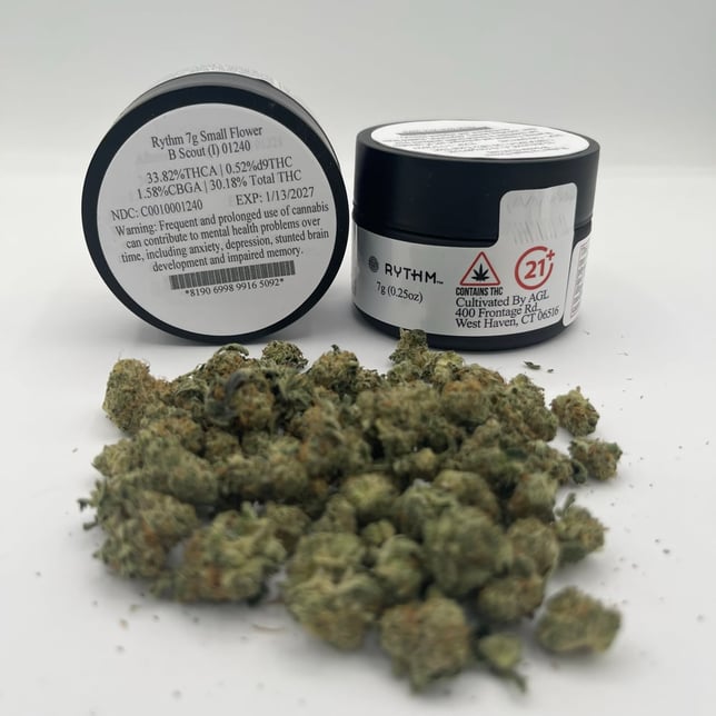 Rythm - B Scout (I) Smalls  C0010001240 - Image 2