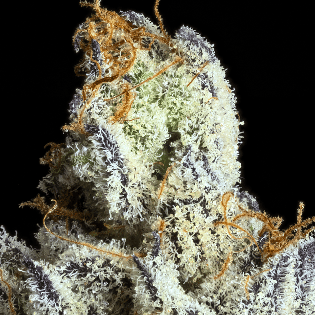FKAFL Pre-Roll [1g] - Image 6