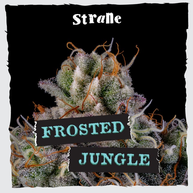 Frosted Jungle - Image 2 Frosted Jungle - Image 2