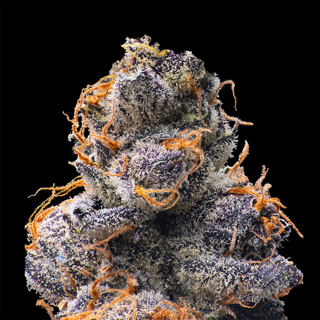 Orange Sapphire Pre-Roll [1g] - Image 5