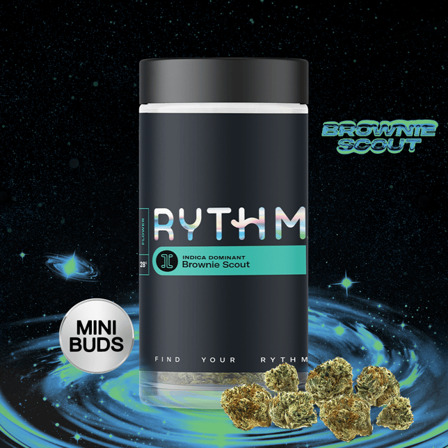 Brownie Scout - Image 3 Brownie Scout - Image 3