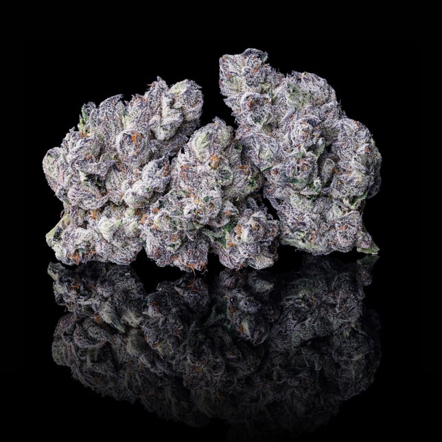 98K All-In-One Gold Blend [1000mg] - Image 3