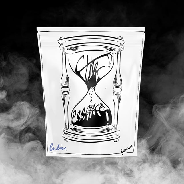 Starkiller - Image 2