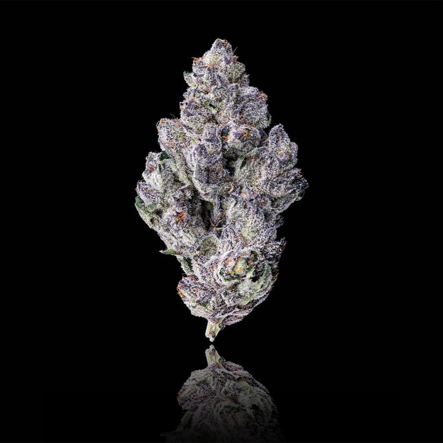 98K Pre-Roll [1g] - Image 2