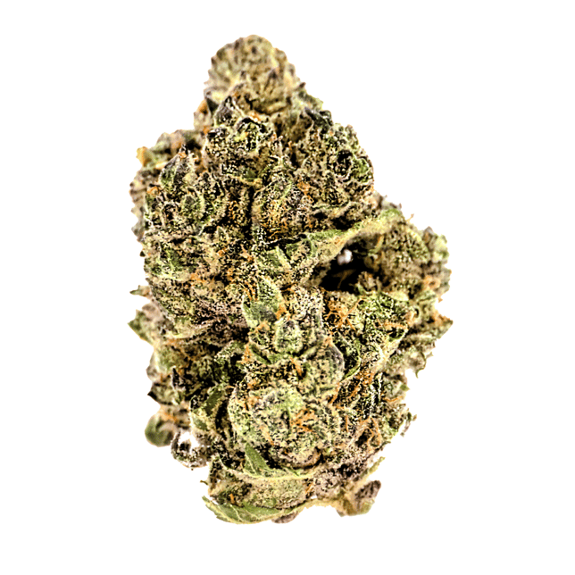 Pacific Pie [1g] - Image 2