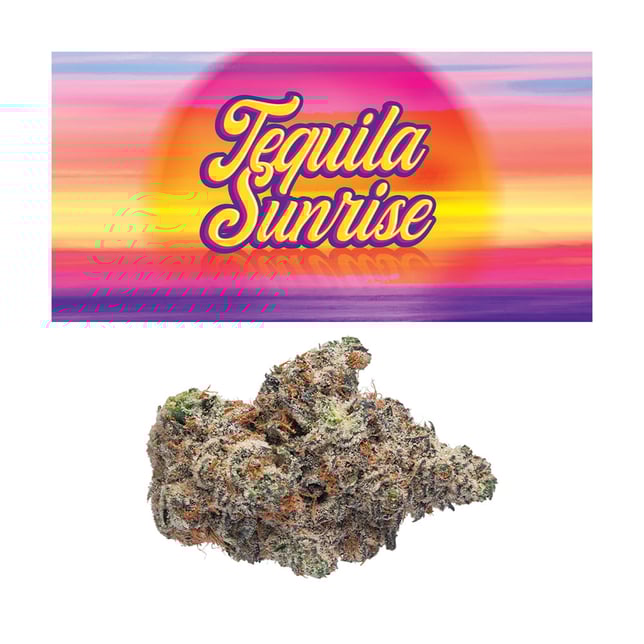 Tequila Sunrise - Image 1 Tequila Sunrise - Image 1