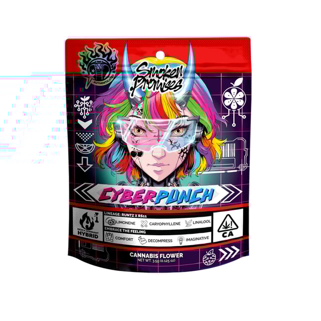 Cyberpunch - Image 1