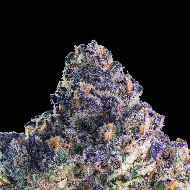 Umami Butter - Image 6