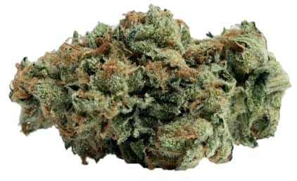 Sweet Tartz - Image 2