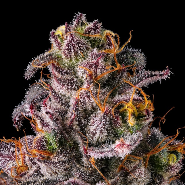 Dirty Laundry [3.5g] - Image 10