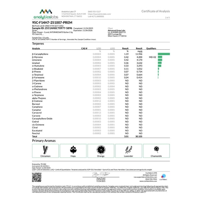Rythm - 95 Cook (H) Flower C0010001108 - Image 5 Rythm - 95 Cook (H) Flower C0010001108 - Image 5