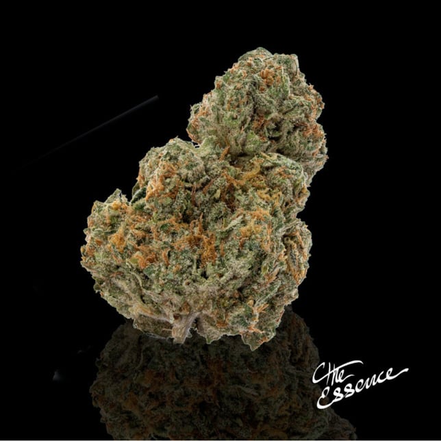 Boston Cream - Image 2