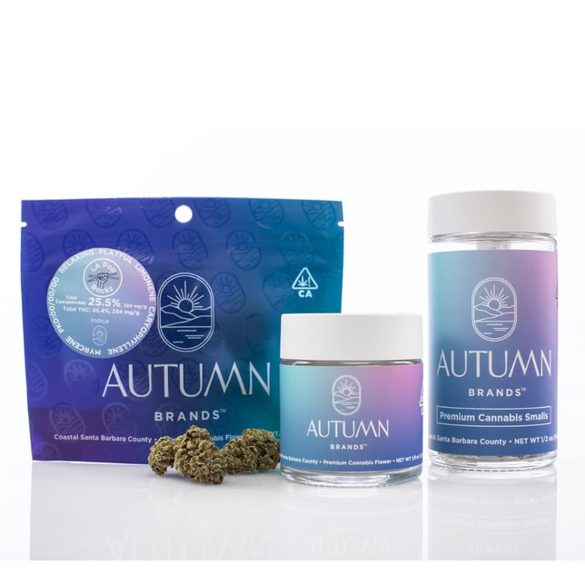 LA Pop Rockz - Image 3 LA Pop Rockz - Image 3