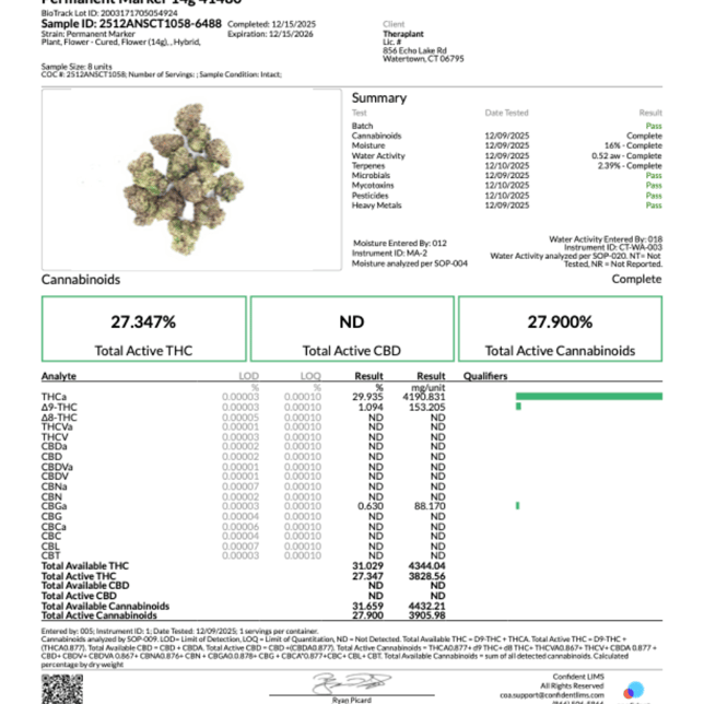Theraplant - Permanent Marker (H) Flower  C0040001480 - Image 3