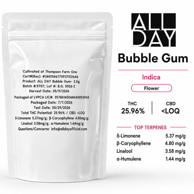 Bubble Gum - Image 2