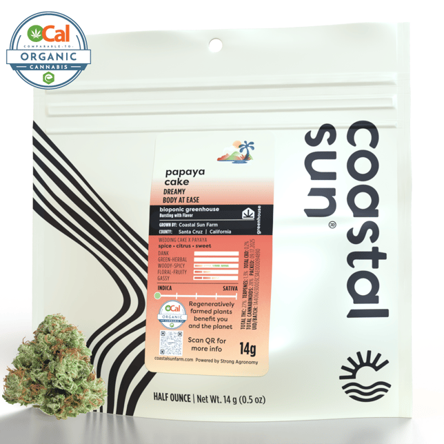 Papaya Cake - Image 2