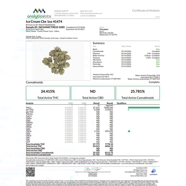 Theraplant - Ice Cream CKE (I) Flower C0040001474 - Image 3 Theraplant - Ice Cream CKE (I) Flower C0040001474 - Image 3