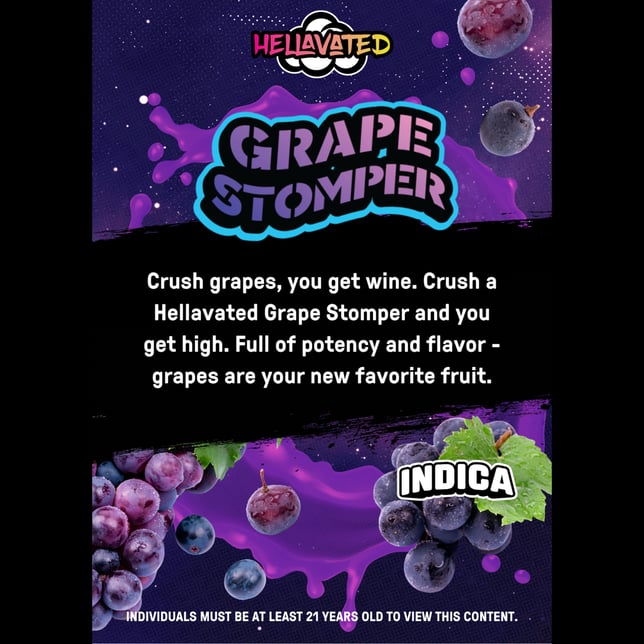 Grape Stomper [10pk] (100mg) - Image 2