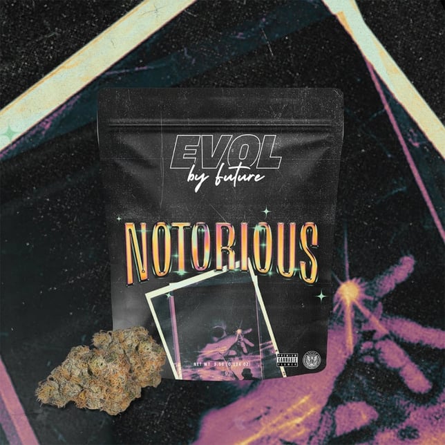 Notorious #1 - Image 3