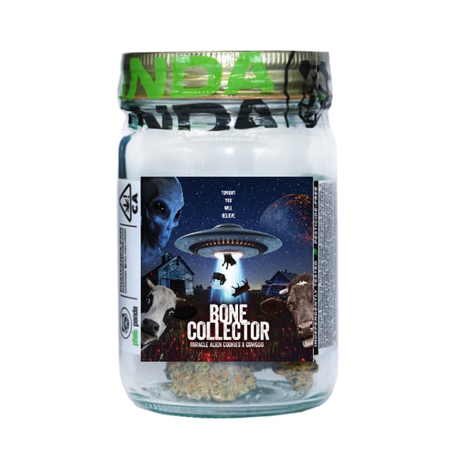Bone Collector - Image 2