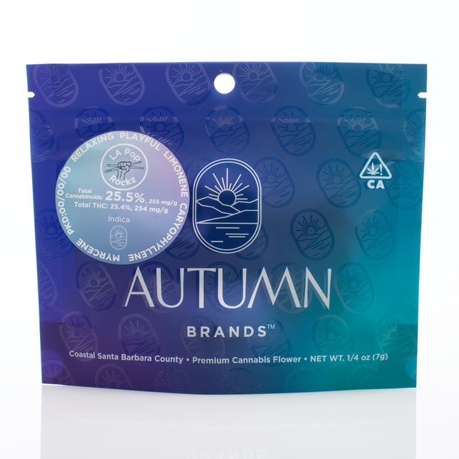 LA Pop Rockz - Image 2 LA Pop Rockz - Image 2