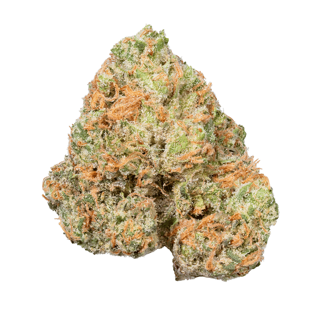 Tropical Z - Image 2 Tropical Z - Image 2