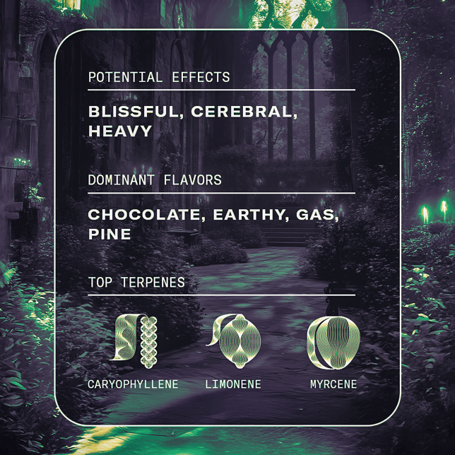 Animal Scout - Image 3