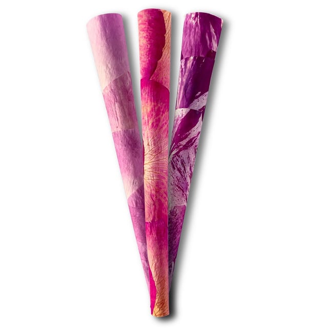 Rose Cones - Image 2 Rose Cones - Image 2