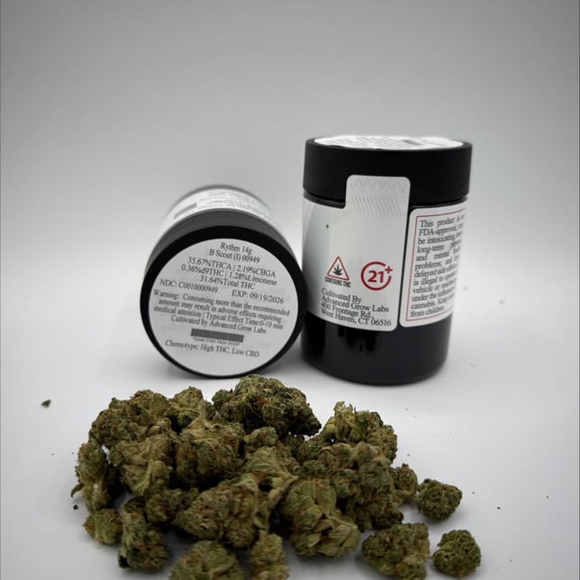 Rythm - B Scout (I) Flower  C0010000949 - Image 2