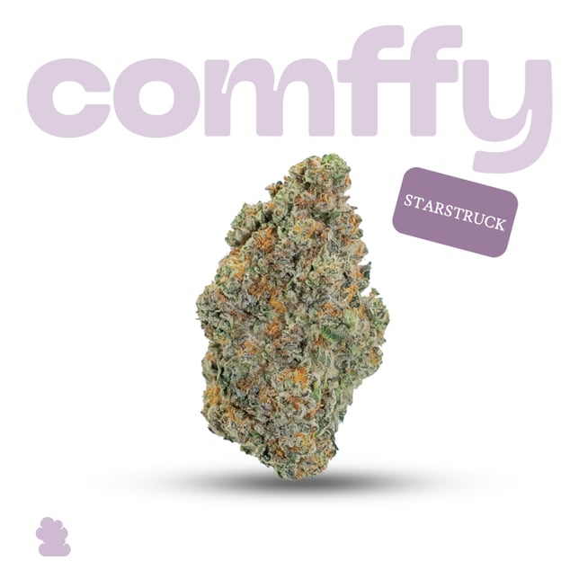Comffy - Starstruck (I) Flower C0140000129 - Image 1