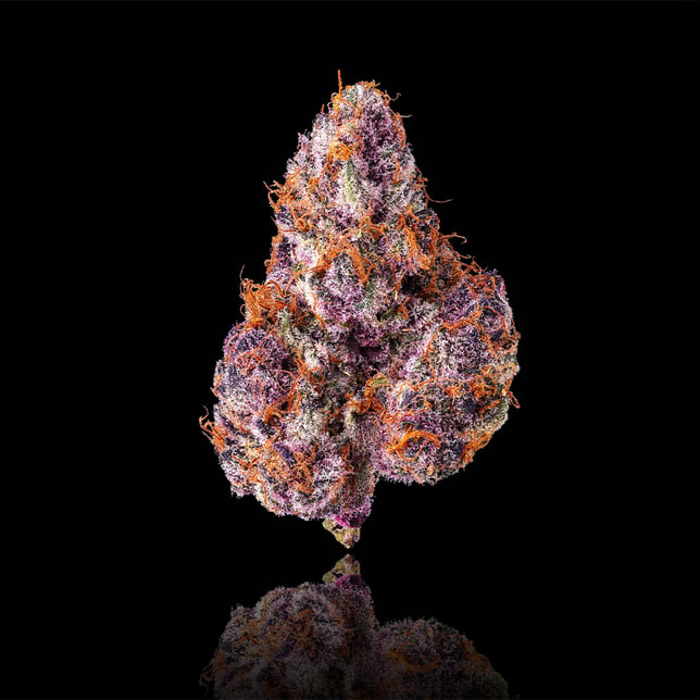 Lemon Cherry Tropicana Pre-Roll 5-Pack [2.5g] - Image 2