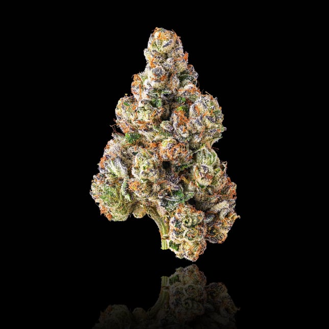 French Butter Pre-Roll 5-Pack [2.5g] - Image 2