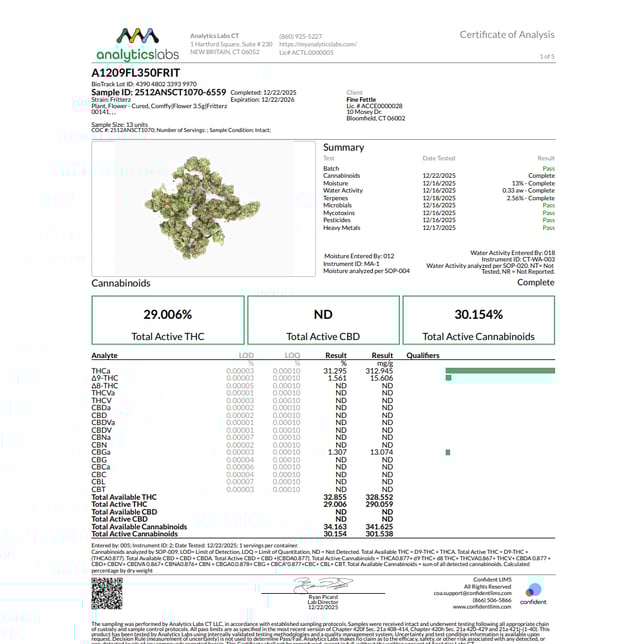 Comffy - Fritterz (H) Flower  C0140000141 - Image 3