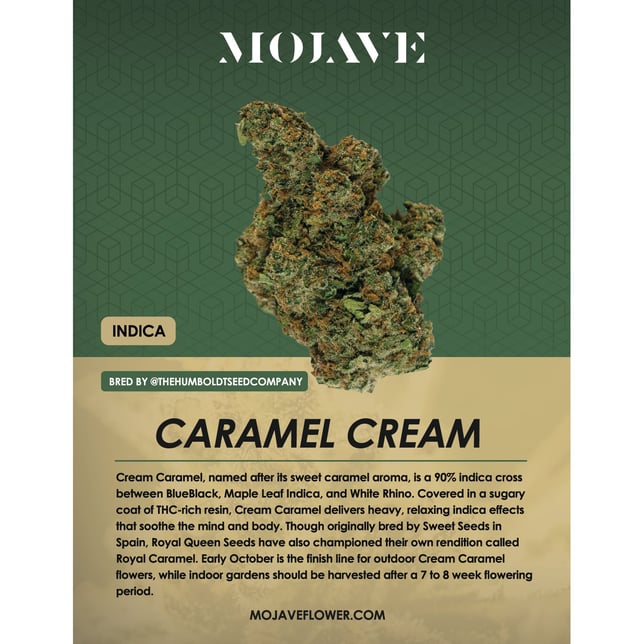 Caramel Cream - Image 1 Caramel Cream - Image 1