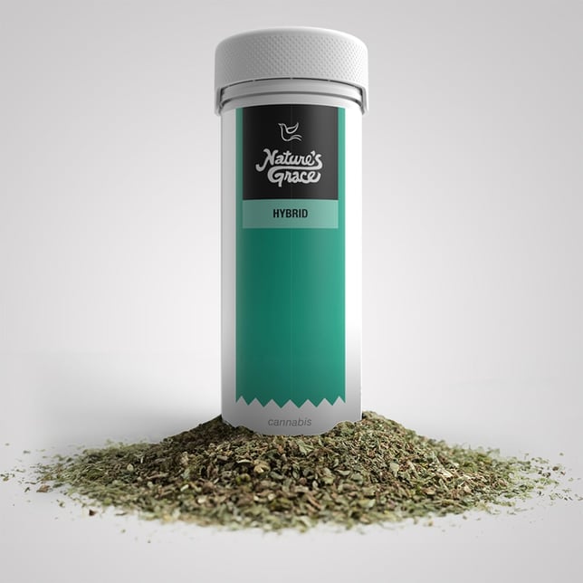 Governmint Oasis - Image 2