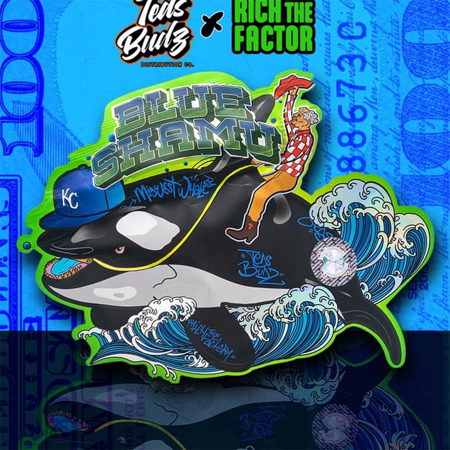 Blue Shamu - Image 1 Blue Shamu - Image 1