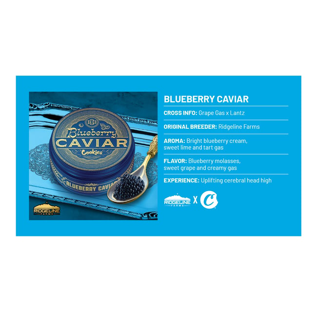 Blueberry Caviar - Image 2