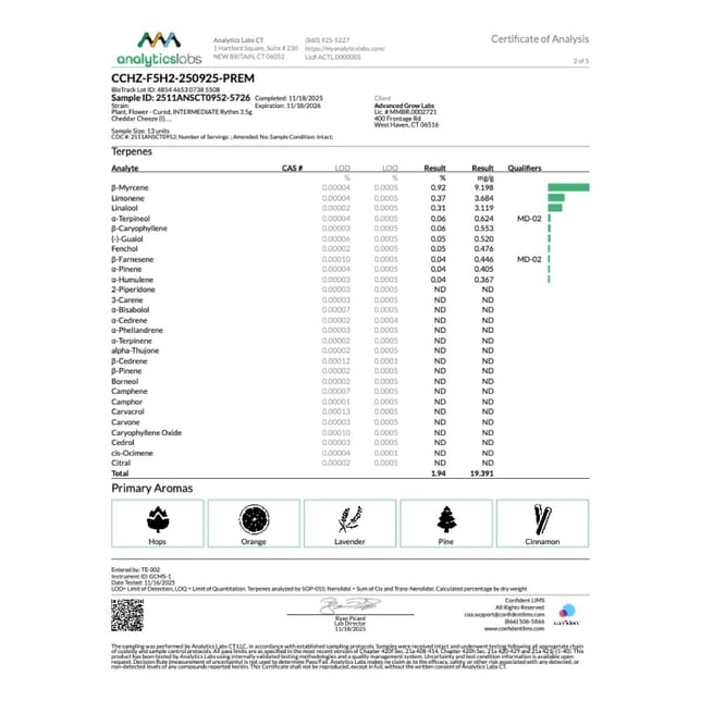 Rythm - Cheddar Cheeze (I) Flower C0010001093 - Image 5 Rythm - Cheddar Cheeze (I) Flower C0010001093 - Image 5