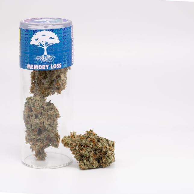 Memory Loss - Image 1 Memory Loss - Image 1