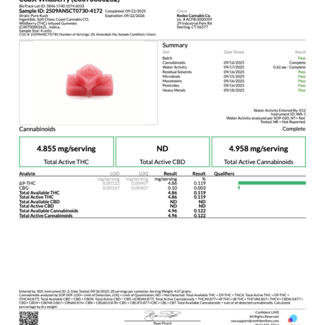 Coast Cannabis Co. - Wildberry (I) Gummies (4.86mg 20pk) C0070000262 - Image 2