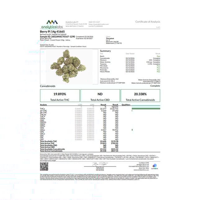 Theraplant - Berry Pi (S) Flower  C0040001665 - Image 3