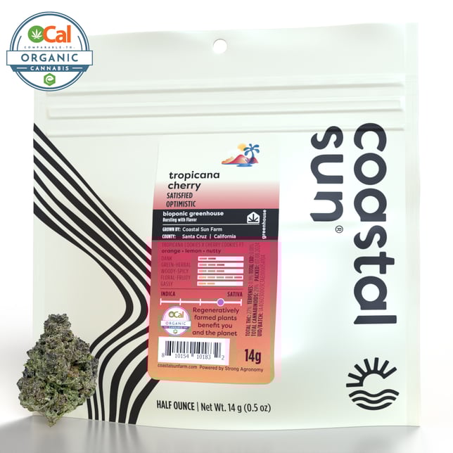 Tropicana Cherry - Image 2