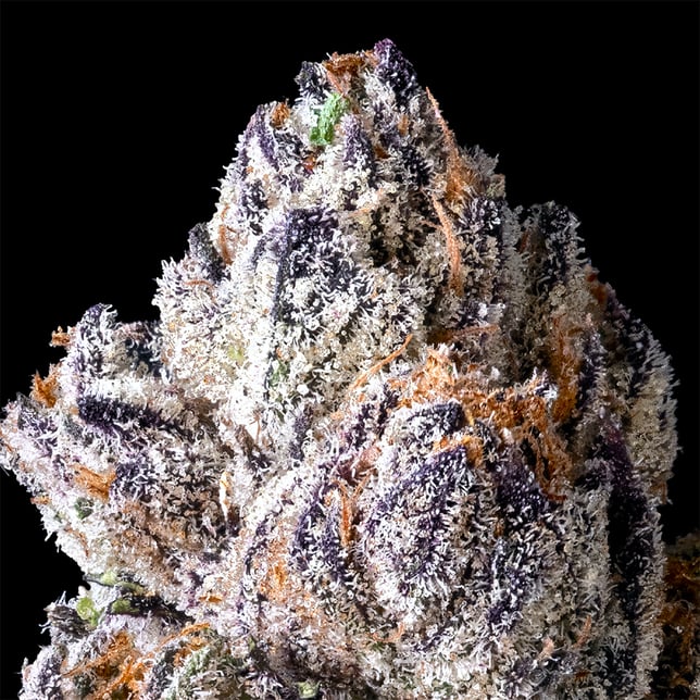 Lipsmackerz Pre-Roll 5-Pack [2.5g] - Image 3