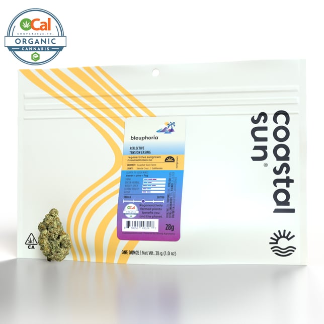 Bleuphoria - Image 2