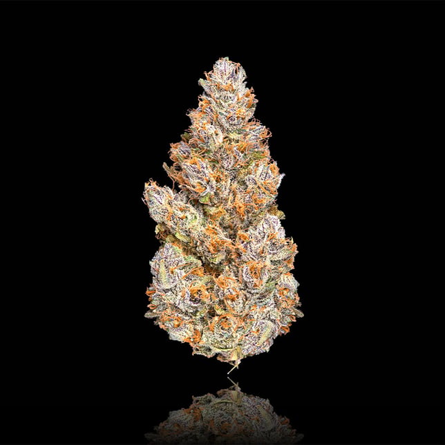 BluZangria Pre-Roll 5-Pack [2.5g] - Image 2