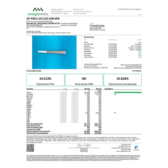 Dogwalkers - Animal Face (I) 1g Pre-Roll 1pk (1g) C0010001266 - Image 4
