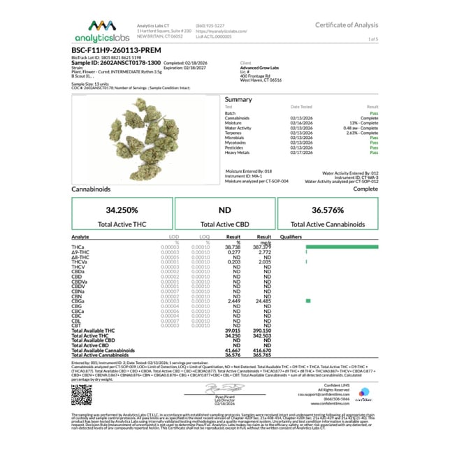 Rythm - B Scout (I) Flower C0010001324 - Image 3 Rythm - B Scout (I) Flower C0010001324 - Image 3