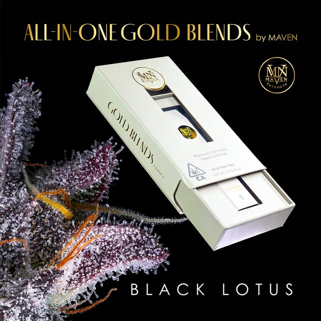 Black Lotus All-In-One Gold Blend [1000mg] - Image 2
