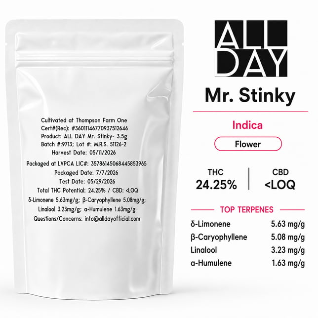 Mr. Stinky - Image 2